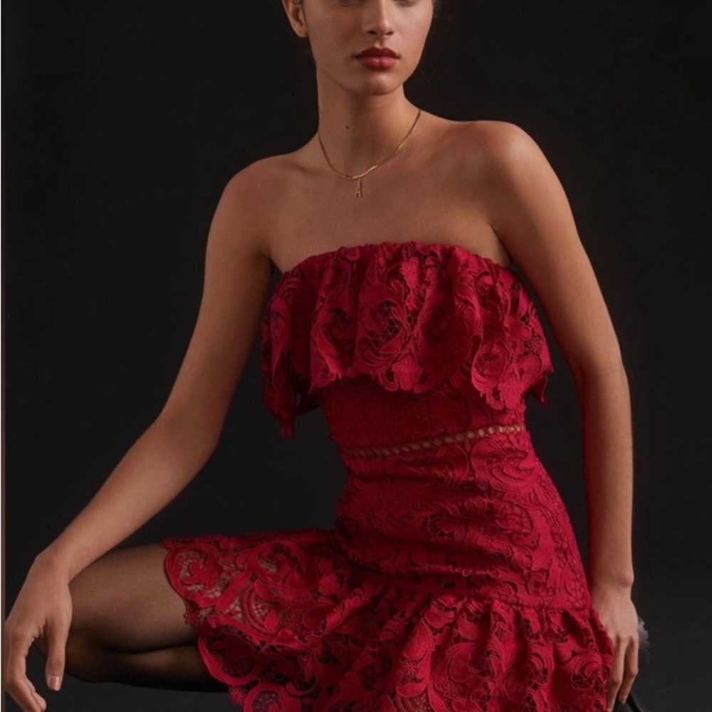 ML Monique Lhullier Ruffled Lace Mini Dress - 4P